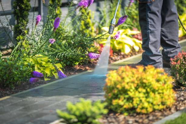 Best Animal Enclosure Cleaning  in Arcanum, OH